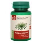 Branca Ursului comprimate