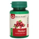 Merisor 60cpr