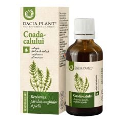 Coada Calului tinctura