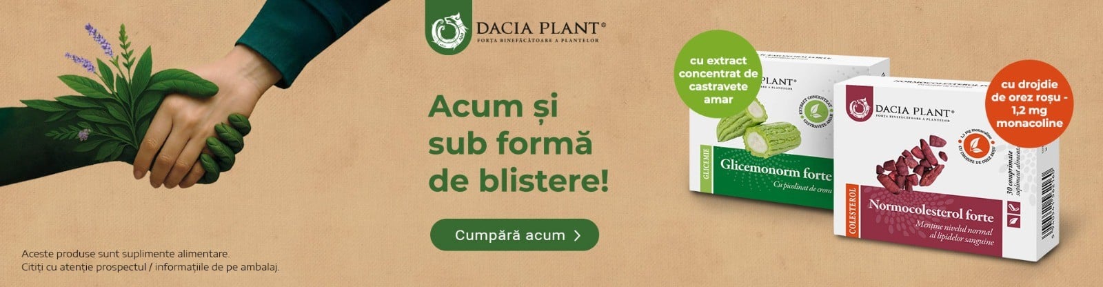 https://www.daciaplant.ro/categorii-produse/blistere.html