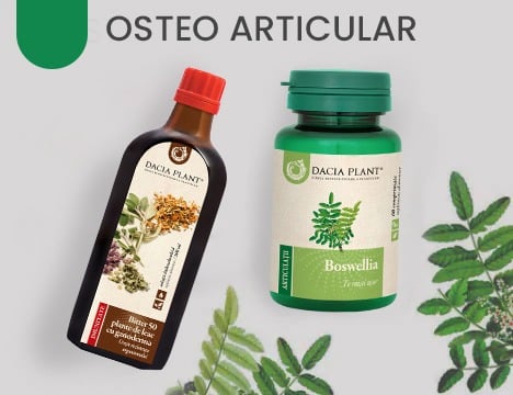 Sistem asteo-articular
