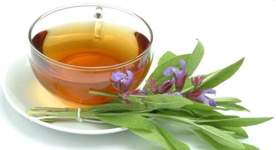 detoxifiere ceai de salvie