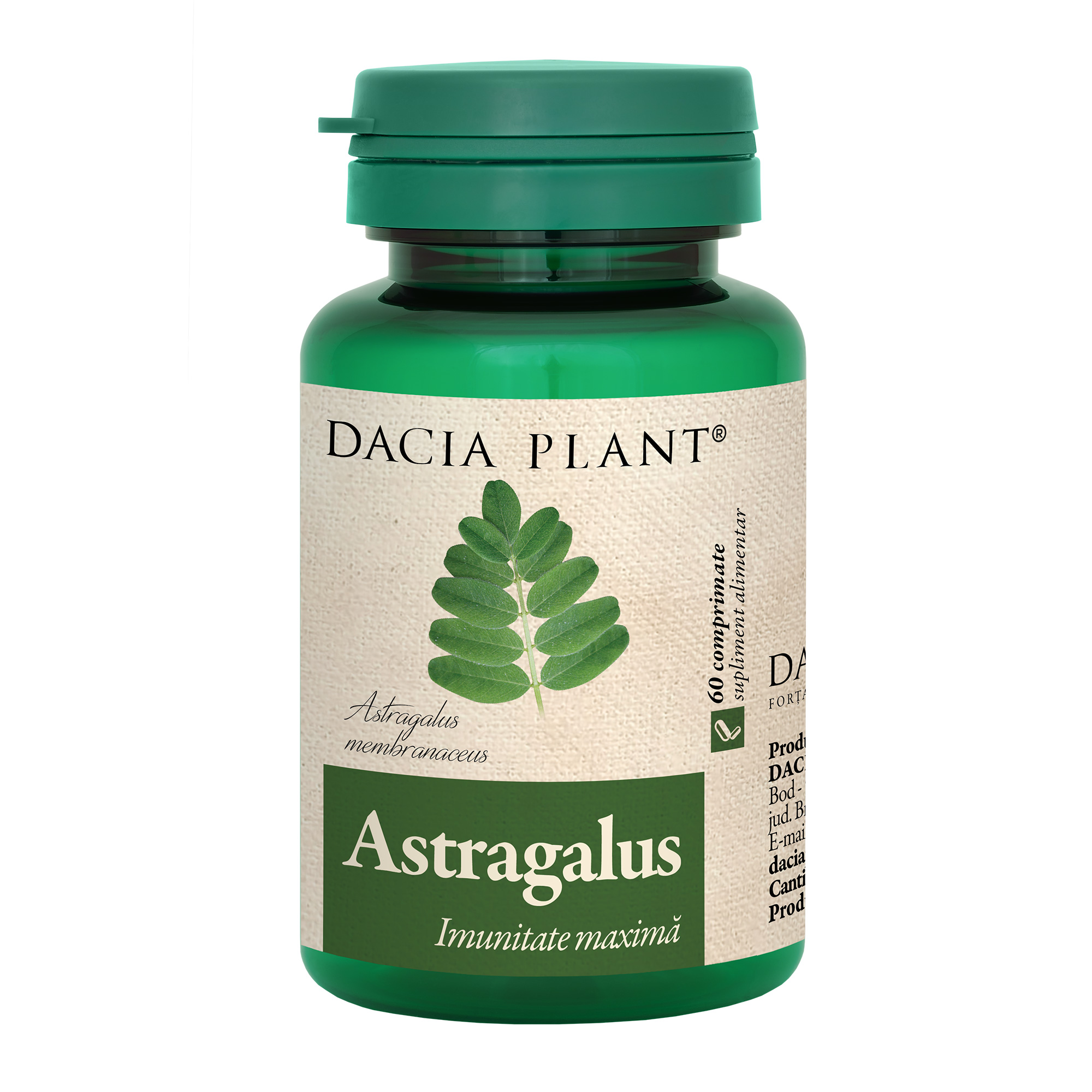 Astragalus comprimate Dacia Plant imagine noua