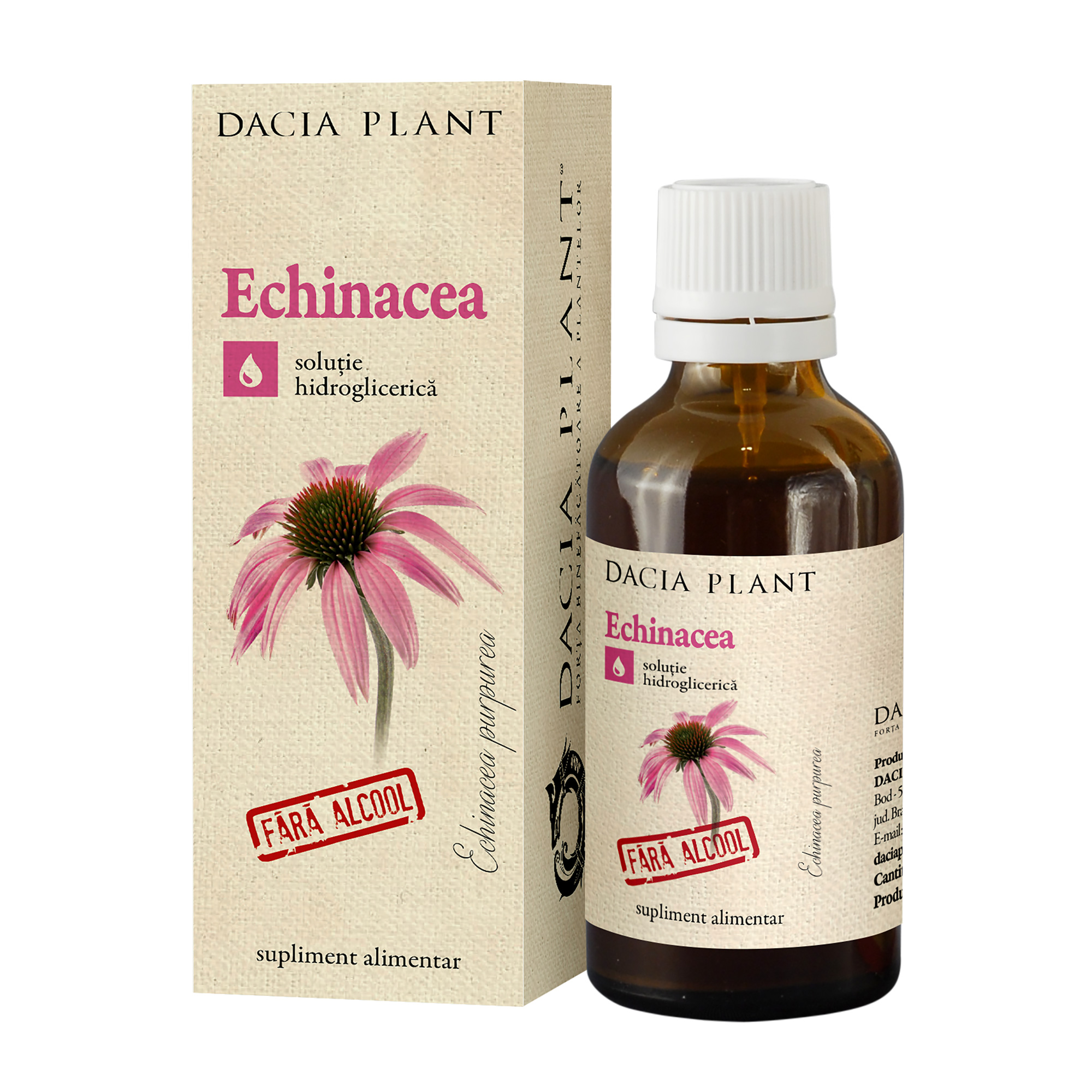Echinacea tinctura fara alcool Dacia Plant imagine noua