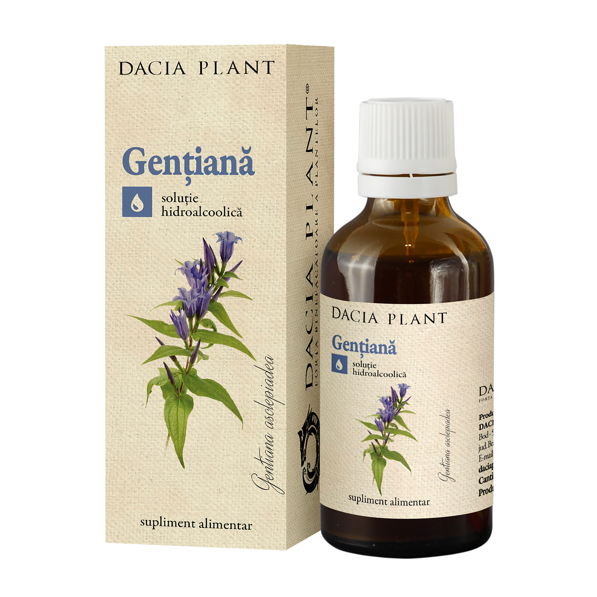 Gentiana tinctura Dacia Plant