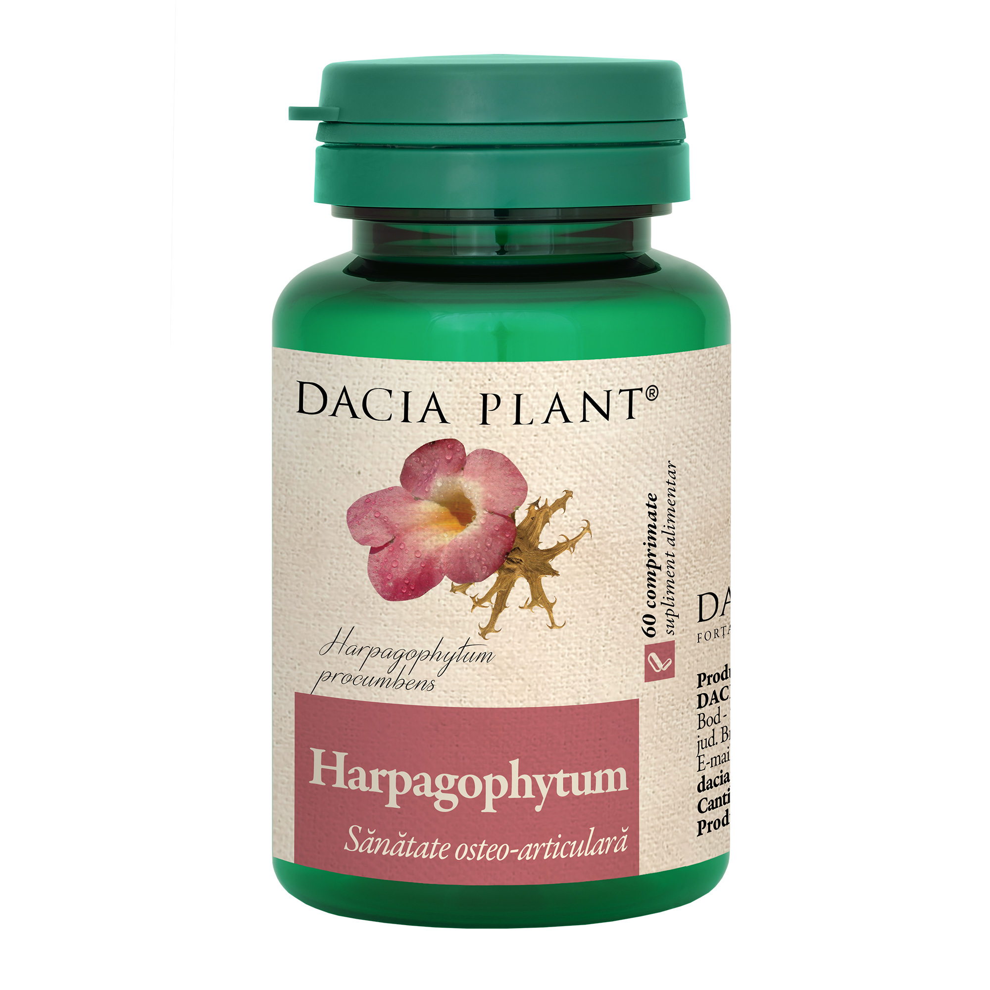 Harpagophytum comprimate Dacia Plant