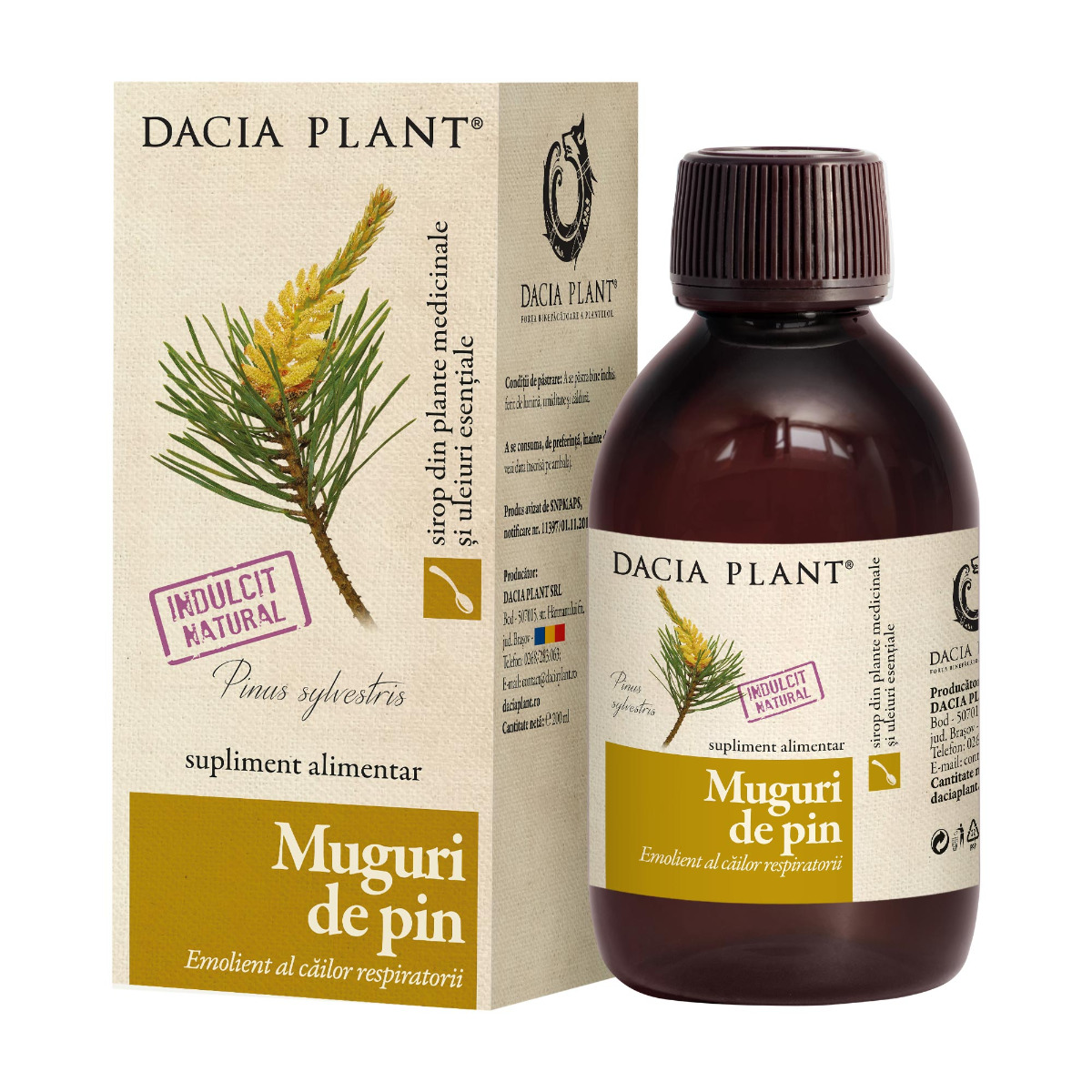 Muguri de pin sirop Dacia Plant