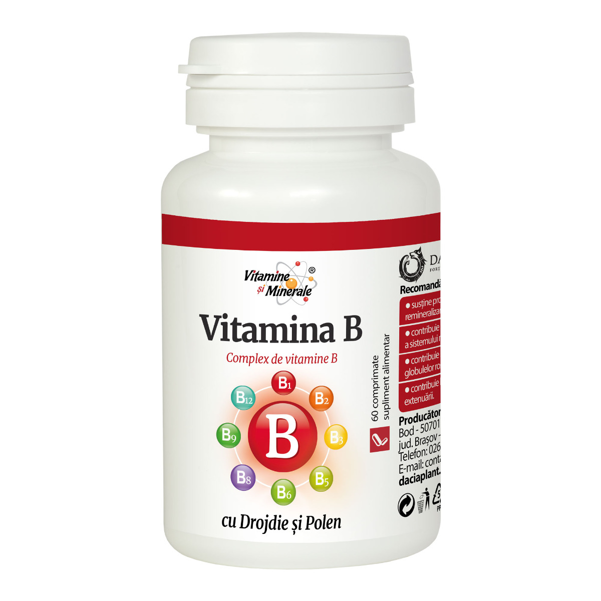 Vitamina B cu drojdie si polen 60 comprimate daciaplant.ro