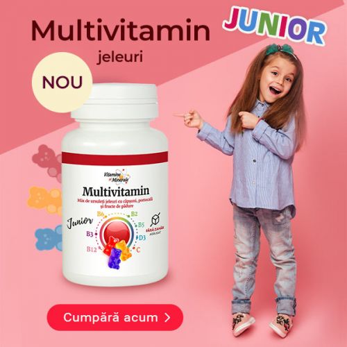 https://www.daciaplant.ro/multivitamin-junior-ursuleti-cu-fructe-20-jeleuri.html